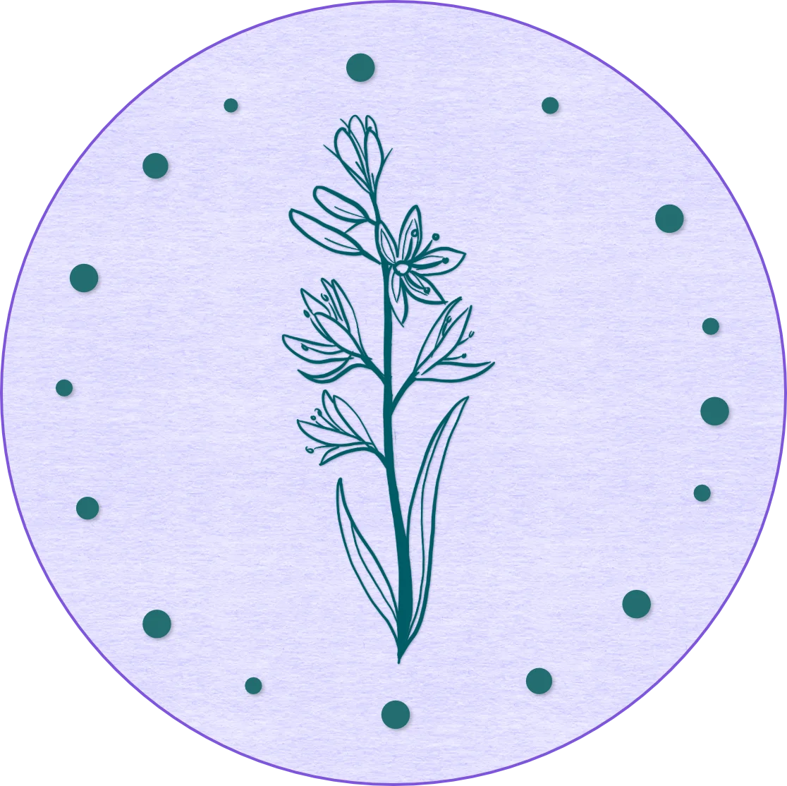 A drawing of a camas plant in green on a light purple background surrounded by a series of circles